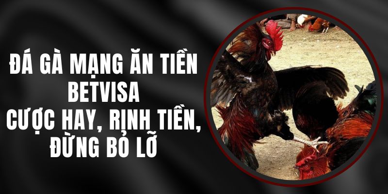 Đá Gà Mạng Ăn Tiền Betvisa – Cược Hay, Rinh Tiền, Đừng Bỏ Lỡ